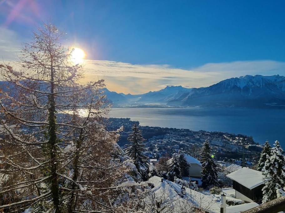 Le Toit De Chardonne - Entre Alpes Et Lac Leman Ngoại thất bức ảnh