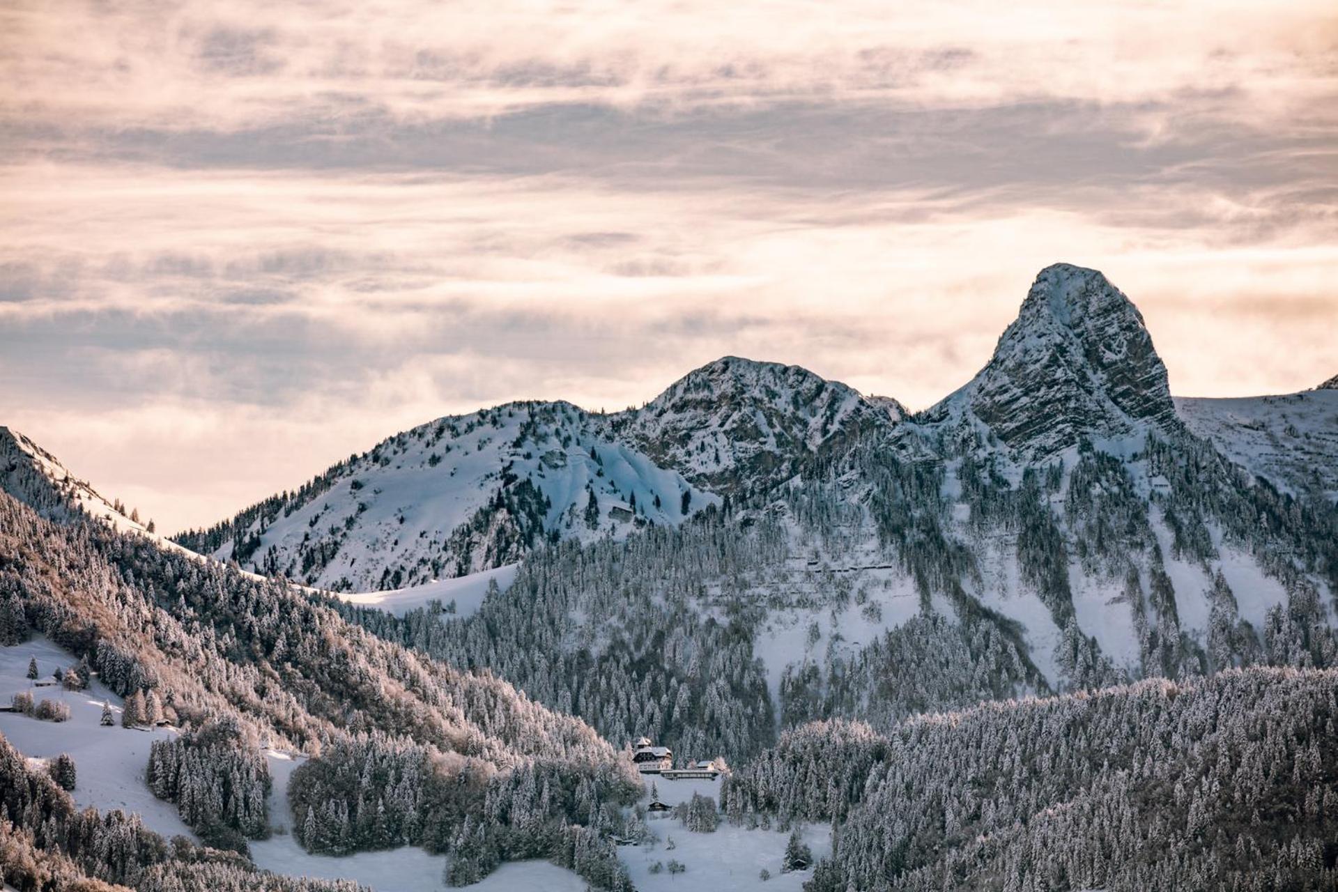 Le Toit De Chardonne - Entre Alpes Et Lac Leman Ngoại thất bức ảnh