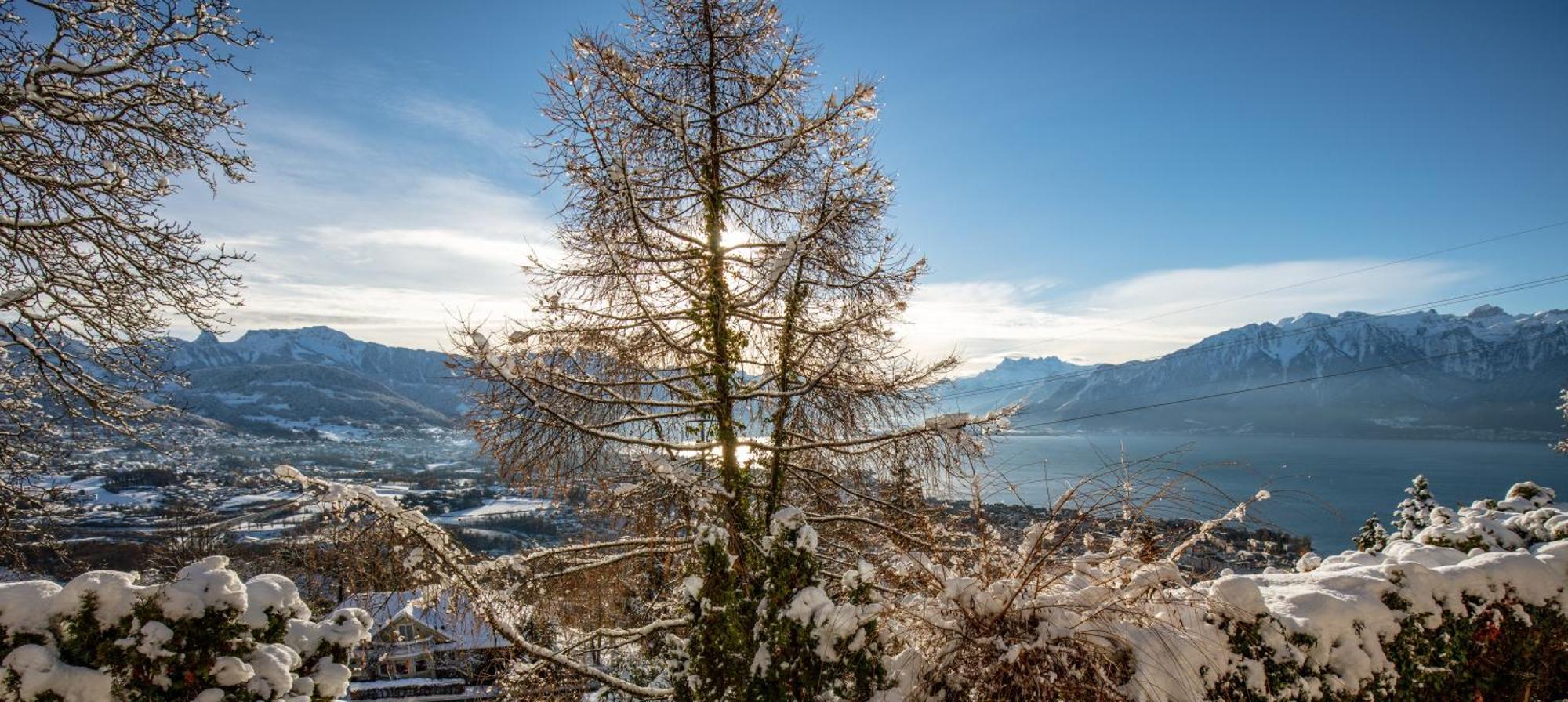 Le Toit De Chardonne - Entre Alpes Et Lac Leman Ngoại thất bức ảnh